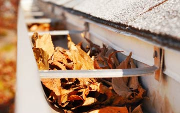 Tushielaw gutter cleaning companies