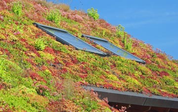Tushielaw living roof systems